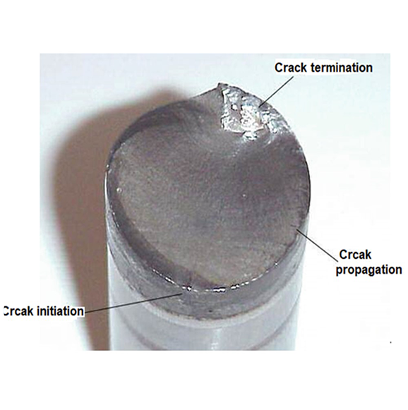 Fatigue and compression test